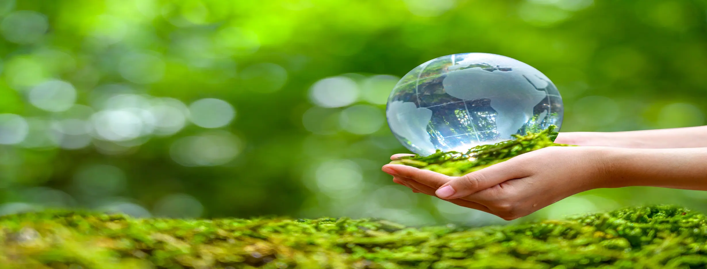Image for Environmental Sustainability